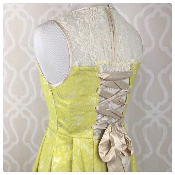 Ryu Lolita Lace & Jacquard Mini Dress - Picture 4 of 13